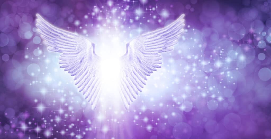 angel purple